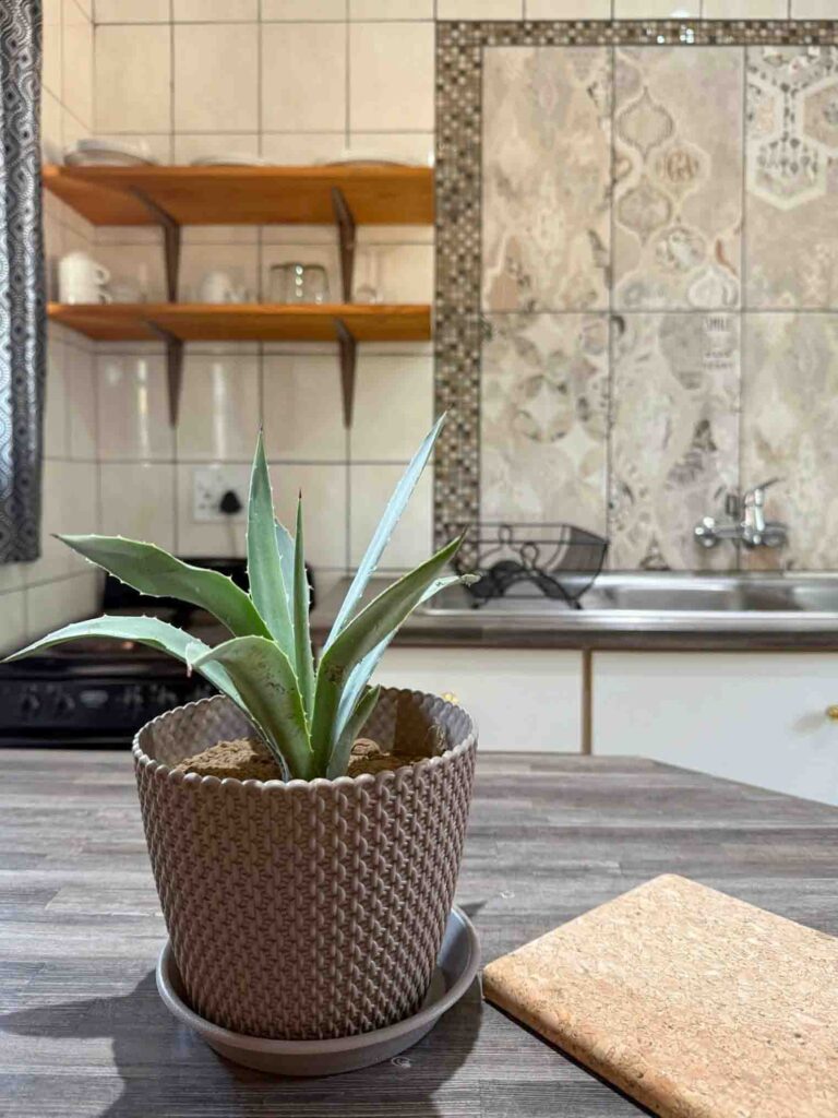 Kierieklapper Edited-00008