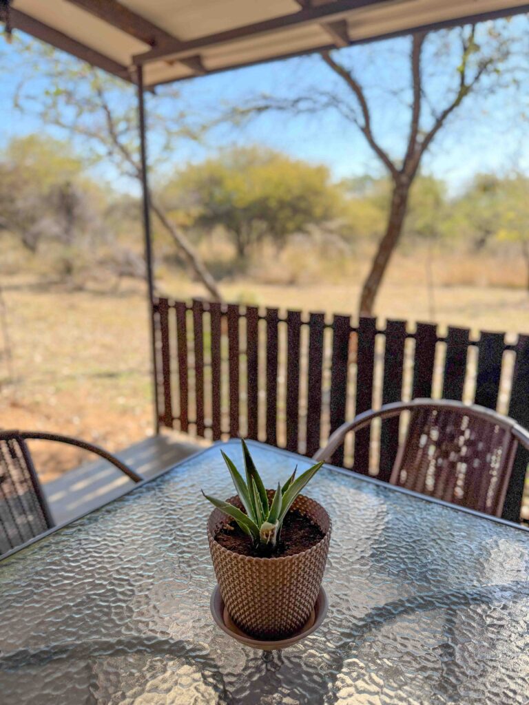 Kurkbos Edited-00039