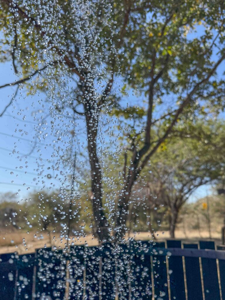 Kurkbos Edited-00054